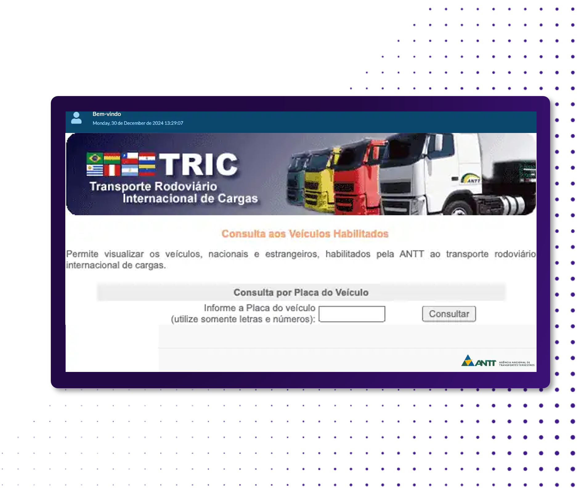 Consulta antt-TRIC